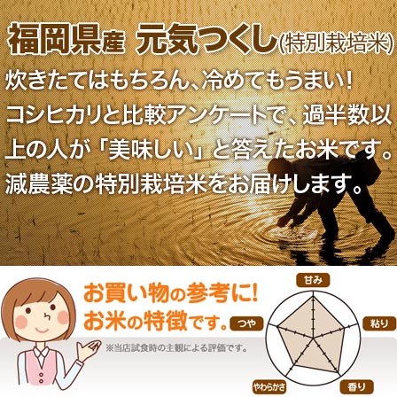 特別栽培米 元気つくし 新米 10kg 送料無料 福岡県 令和元年産 (米/白米 5kg×2 令和1年産) [お米 の ギフト 内祝い お祝い お返し に 熨斗(のし)名入れ 可]