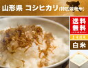 山形県 特別栽培米 コシヒカリ 米 5kg 送料無料 令和4年 こしひかり 減農薬米 お米 白米 5キロ 2