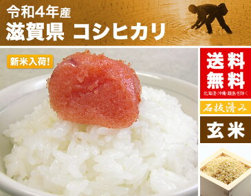 (玄米) コシヒカリ 30kg 送料無料 滋賀県 令和元年産 (5kg×6) [お米 の ギフト 内祝い お祝い お返し に 熨斗(のし)名入れ 可]