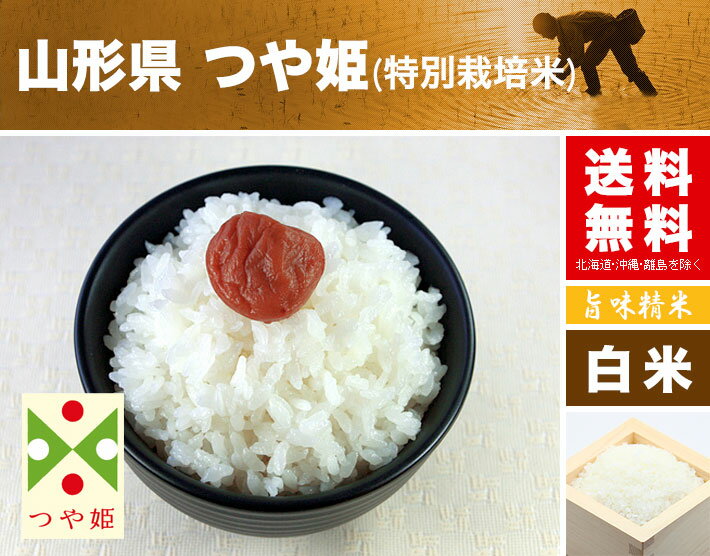 つや姫 特別栽培米 2kg 送料無料 山形県産 令和3年産(2021年 白米 2キロ) 食べ比べサイズの お米