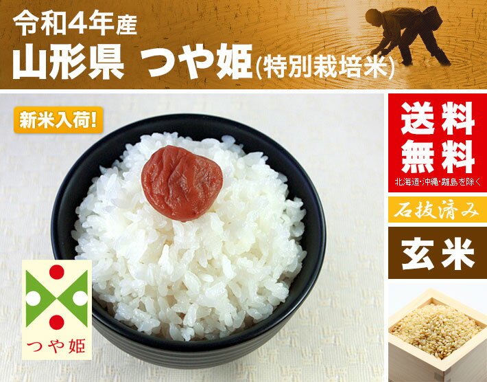 (玄米) つや姫 特別栽培米 20kg 送料無料 山形県 置賜 令和2年産 (5kg×4) [お米 の ギフト 内祝い お祝い お返し に 熨斗(のし)名入れ 可]