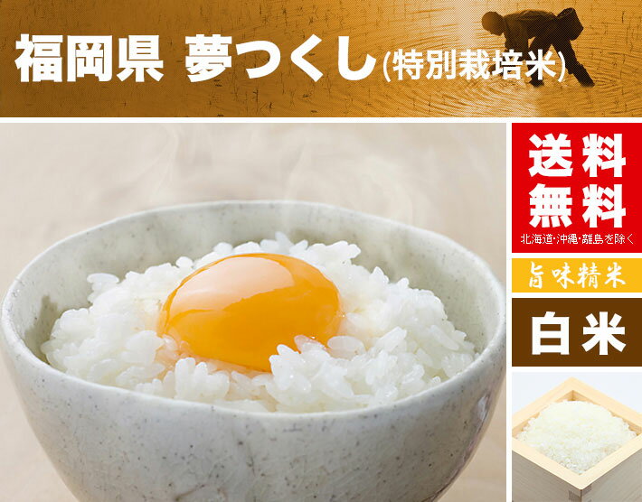 特別栽培米 夢つくし 米 10kg 送料無料 福岡県 令和3年産(2021年 白米 5kg×2) [お米 の ギフト 内祝い お祝い お返し に 熨斗(のし)名入れ 可]