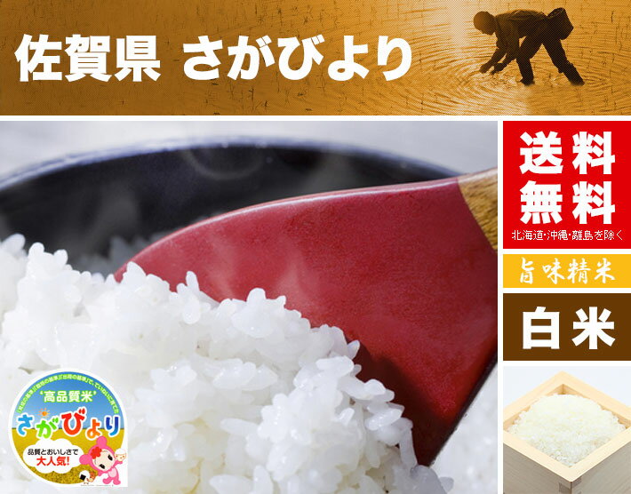 さがびより 2kg 送料無料 佐賀県 令和3年産 (2021年 米 白米 特A 米 2キロ) 食べ比べサイズの お米