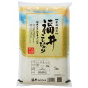 新米 コシヒカリ 5kg 送料無料 福井県 令和元年 産(2