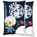 元気つくし 特別栽培米 10kg 送料無料 福岡県 令和2年産 (米/白米 5kg×2 特A 特A米) [お米 の ギフト 内祝い お祝い お返し に 熨斗(のし)名入れ 可]