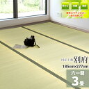 自社独自の緑茶カテキン吹付加工【国産】い草 3畳 185cm×277cm【61間 3畳】 『別府』茣蓙 天然 イ草ラグ 敷物 畳の上に敷くもの い草ラグ 自然素...
