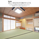 自社独自の緑茶カテキン吹付加工【国産】い草 8畳 364cm×364cm【中京間 8畳】 『別府』茣蓙 天然 イ草 ラグ 敷物 畳の上に敷くもの い草ラグ 自然素材 いぐさ 座敷 フローリング 除湿 たたみ 緑茶 カテキン ござ 上敷き 畳上敷き