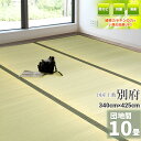 自社独自の緑茶カテキン吹付加工【国産】い草 10畳 340cm×425cm【団地間 10畳】 『別府』 茣蓙 天然 イ草 ラグ 敷物 畳の上に敷くもの 自然素材 いぐさ 座敷 フローリング 布団下 除湿 たたみ タタミ 緑茶 カテキン 上敷き ござ 畳上敷き