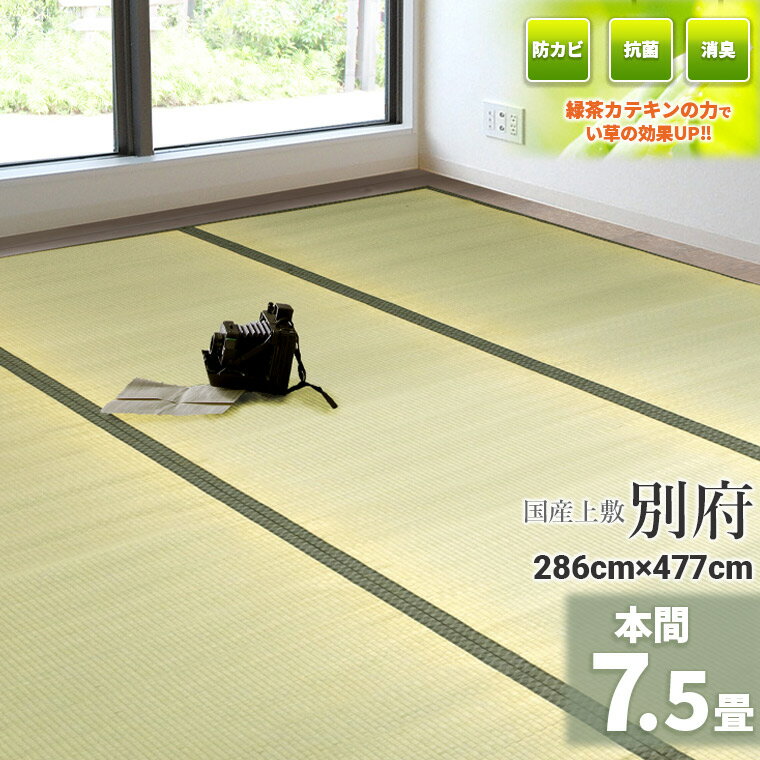 ȼ㥫ƥղùڹ񻺡  7.5 286cm477cmܴ 7.5 ܡ  ŷ  饰 ʪ ...