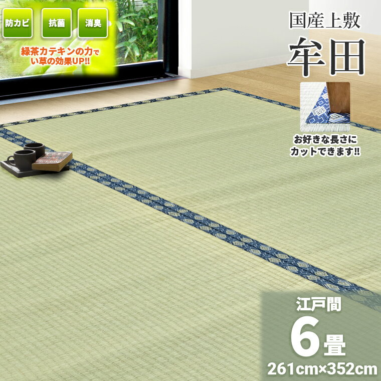 楽天市場】い草上敷 フリーカット 江戸間6畳の通販 楽天市場】い草上敷 フリーカット 江戸間6畳の通販