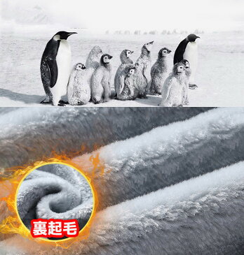 スウェット 上下セット セットアップ メンズ 秋冬 裏起毛 裏ボア ジャージ パーカー スエット 大きいサイズ 長袖 B系 ルームウェア 部屋着 パーカー フード付き スウェットパンツ ズボン パジャマ 秋冬 2020新作