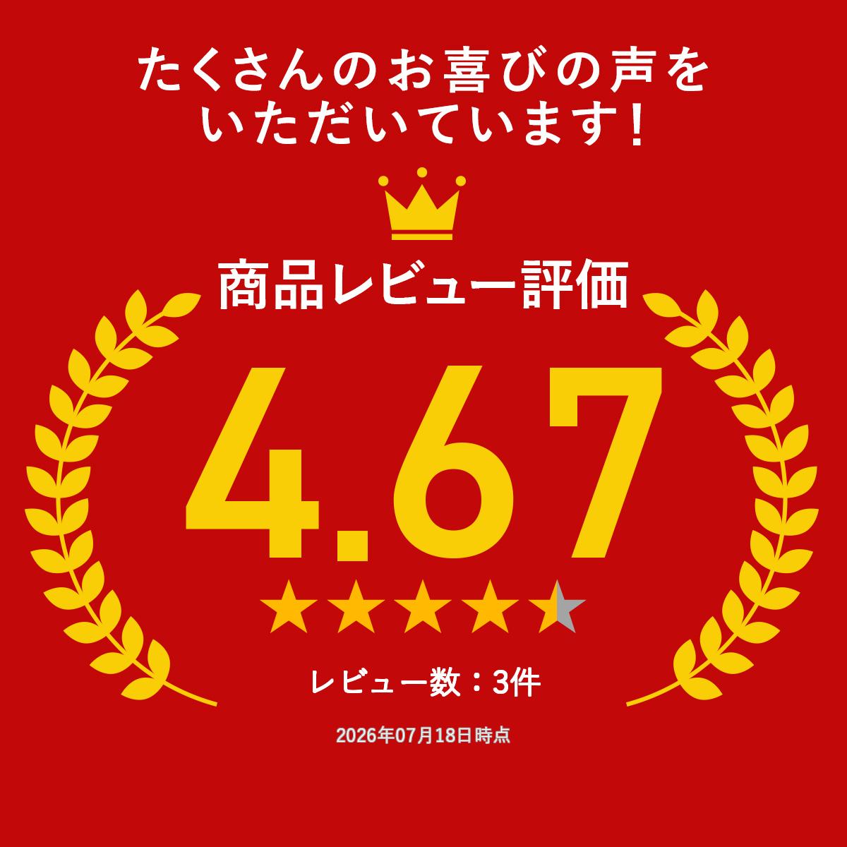 ＼楽天ランキング入賞／ 「囲炉裏型バーベキューコンロ小」 アンティーク耐火レン...