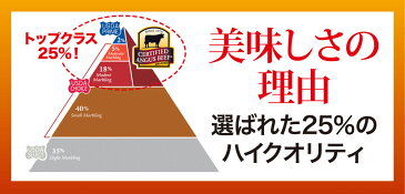 【楽天市場出店記念！いきなりバターソース1本付】CABサーロインステーキ200g×3枚セット（200gサーロイン3枚、ステーキソース3袋、いきなりバターソース1本）牛肉　お肉　肉　いきなり！ステーキ　牛　熨斗対応 サーロイン