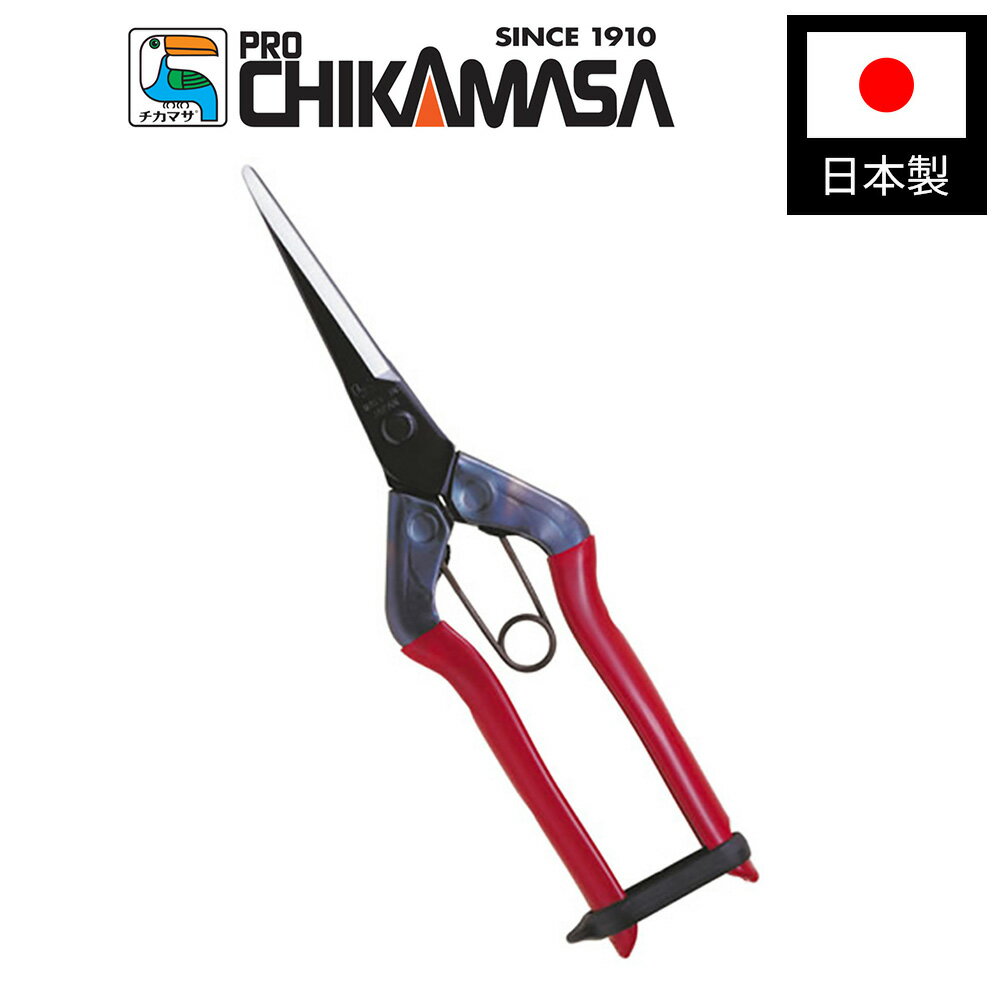 ڥȥ꡼P10ܢ9/1۶ T-570  ľĹ BP  ڱ Ŧ  Ф Х ...