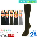 【送料無料】【日本製靴下】遠赤 ぽかぽか 紳士ハイソックス2足セット 敬老の日 メンズ 靴下 ビジネスソックス 冷え取り 足暖め 寒さ対策 贈り物 プレゼント おじいちゃん 祖父 父の日の商品画像