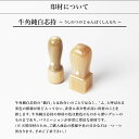 【送料無料】法人印鑑 ハンディ牛角純白スタンダードセット | 代表者印(丸天丸18mm):銀行印(丸天丸18mm):ハンディケース（2本用） 法人用 社判 社印 判子 いんかん はんこ ハンコ 会社設立 仕事 登記 開業 起業 2