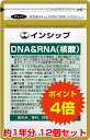 【送料無料！ポイント4倍！】 DNA＆RNA（核酸） 12個セット 体内サイクルのサポートに！健康維持の強い味方 約12ヶ月分サプリメント DNA＆RNA（核酸） 12個セット インシップ