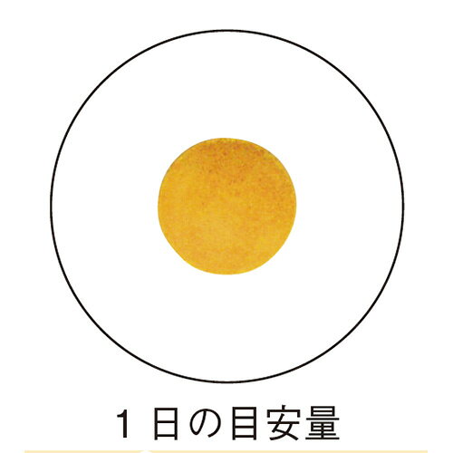 鉄 栄養機能食品 250mg×30粒 動物原料を使っていない鉄！女性にうれしいミネラルパワー！ 約30日分サプリメント 鉄 インシップ inship-10000006 健康食品のインシップ 楽天市場店 サンプル画像2