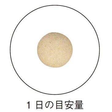 【ポイント2倍】 琉球フコイダン 300mg×30粒 ご当地名産シリーズ 沖縄県産もずく100%使用!ネバネバ成分でむかむか・キリキリをバリア! 約30日分サプリメント 琉球フコイダン インシップ