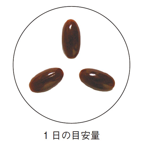 【初回限定半額】 ノコギリヤシプレミアム 470mg×90粒 中高年男性のスッキリ快適をサポート！ 約1ヶ月分サプリメント 一家族様1個限り 約30日分サプリメント ノコギリヤシプレミアム インシップ