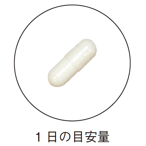 ビフィズス菌 機能性表示食品 380mg×30粒 毎朝を快適に過ごしたい方に！ビフィズス菌150億個＋フェカリス菌300億個！腸の調子を整える！ 約30日分サプリメント ビフィズス菌 インシップ