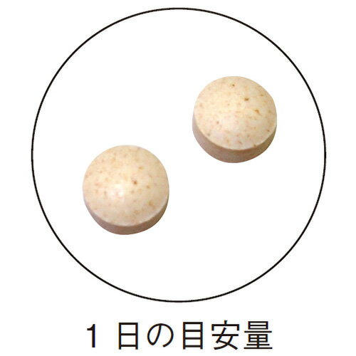 高麗人参＋冬虫夏草 200mg×60粒 ダブルの貴重な活力素材で健康維持をサポート 約30...