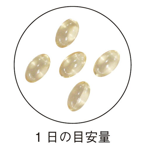 深海鮫エキス（スクワレン） 381mg×150粒 サメ肝油を植物性ソフトカプセルで包みこみました。美容維持に！ 約30日分サプリメント 深海鮫エキス インシップ 2