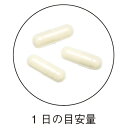 ローヤルゼリー 340mg×90粒 女王蜂の生命力！1日3粒目安で生ローヤルゼリー換算1800mg！デセン酸6％高含有！ 約30日分サプリメント ローヤルゼリー インシップ 2