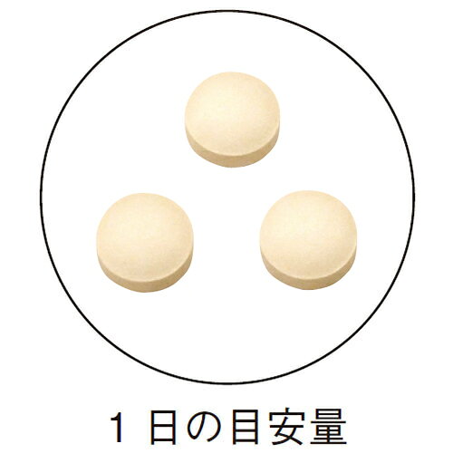 キトサン 300mg×90粒 高分子キトサンに低分子キトサンを配合！食生活が不規則な方、野菜不足の方に 約30日分サプリメント キトサン インシップ inship-10000470 健康食品のインシップ 楽天市場店 サンプル画像2