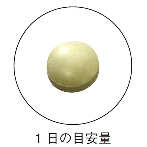 ひざ関節対策サプリ（エラスチン） 機能性表示食品 200mg×30粒 膝関節の違和感を改...