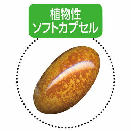 身体疲労対策サプリ（還元型コエンザイムQ10） 機能性表示食品 470mg×30粒 身体的...