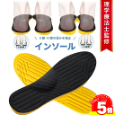 【マラソンP5倍11日1:59迄】 o脚矯正 インソール o脚 x脚 矯正 グッズ 衝撃吸収 かかと 土踏まず アーチサポート 中敷き 足裏 痛み レディース ...