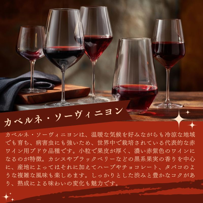 赤ワインセット カベルネ・ソーヴィニョン を使用した赤ワインセット 12本 送料無料 ハロウィン ワイン inter-mic-10000934 ワイン・日本酒の神田商店 サンプル画像3