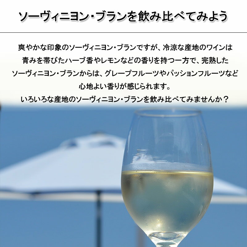 ソーヴィニョン・ブラン 4本 飲み比べセット 送料無料 敬老の日