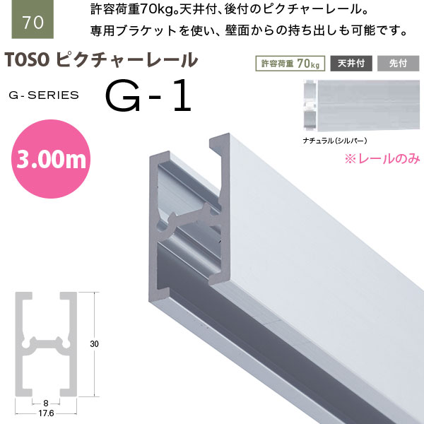 ȡ ԥ㡼졼 G-1 졼Τ 3.00m ʥ 793399