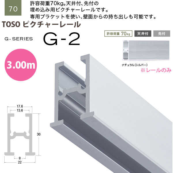 楽天イーヅカトーソー ピクチャーレール G-2 レールのみ 3.00m ナチュラル 793405