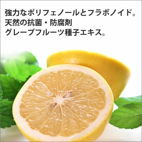グレープフルーツシードエキス GSE 125mg 無添加 グレープフルーツ種子エキス 50〜...