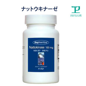 ナットウキナーゼ 遺伝子組換えレシチン不使用のサプリメント 無臭+無添加 60〜30日分x2【納豆菌/ナットウ菌/サプリ/健康食品/アレルギー対応/グルテンフリー/Nattokinase】