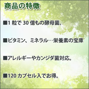 【アレルギー対応/カンジダ菌対応済】サッカロマイセス・ブラウディ 酵母菌 サプリ...