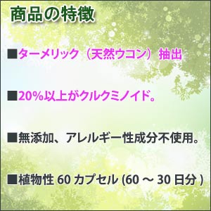 クルクミン ウィン500 サプリメント 無添加 【サプリメント/アレルギー対応/ターメリック/天然ウコン/クルクミン/クルクミノイド】 2