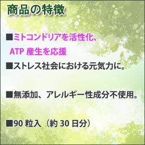 ミトコンドリア・コファクターズ（補酵素） 高吸収 無添加 30日分x2本【アレルギー...