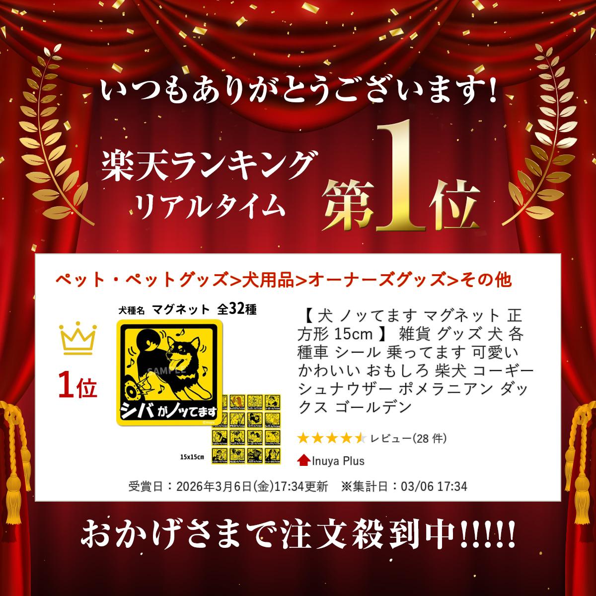 【 犬 ノッてます マグネット 正方形 15cm 】 雑貨 グッズ 犬 各種 車 シール 乗ってます 可愛い かわいい おもしろ 柴犬 コーギー シュナウザー ポメラニアン ダックス ゴールデン 2