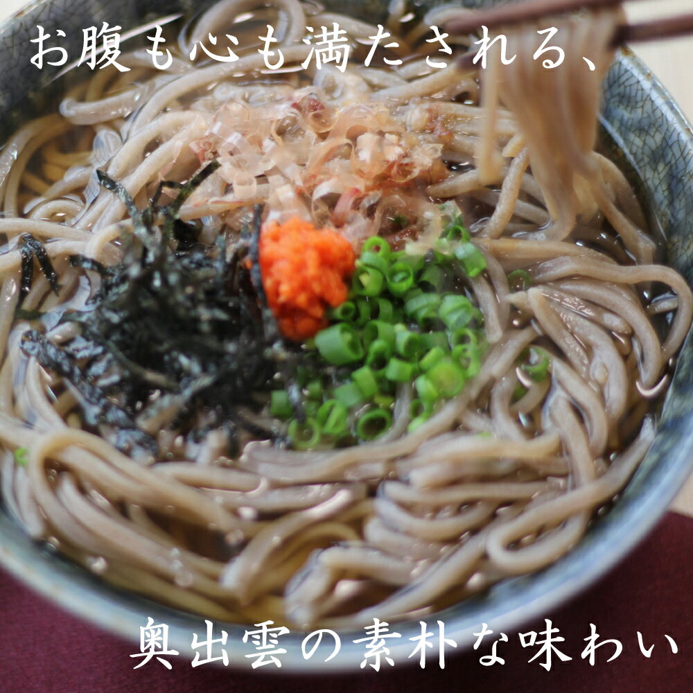 そば 蕎麦 出雲そば 40人前【出雲袋そば20袋】つゆ付き 半生そば 送料無料 大容量 ...