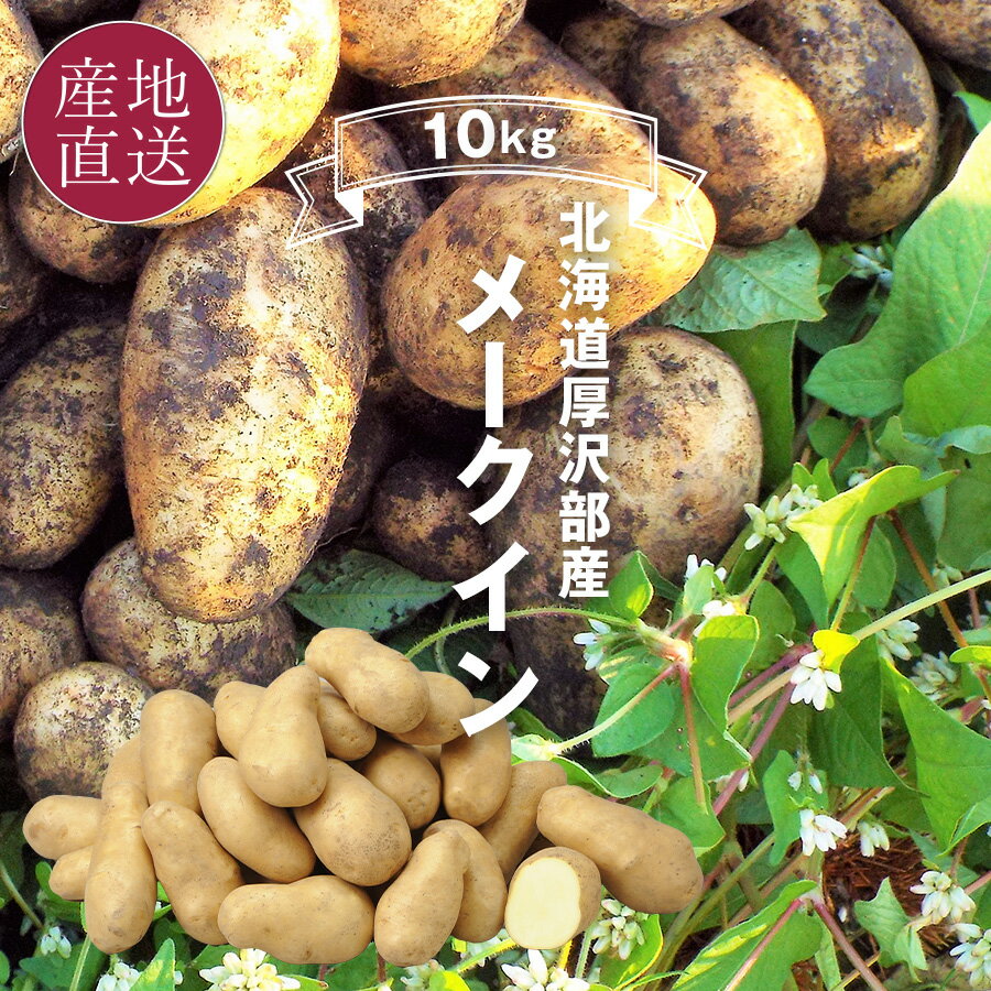 ̳ƻ  ᡼ 10kg 2LM ᡼ȯͤ ̳ƻĮ  ᡼ 㤬   ...