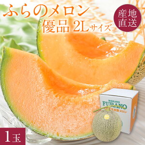 【5日限定★クーポンで全商品5%OFF】 富良野メロン 赤肉 優品 大玉 2L(約1.6kg) 1玉 「甘くて」「美味しい」ふらのメロン お中元 メロン 北海道 夏 ギフト 赤肉メロン 御中元 【送料無料】