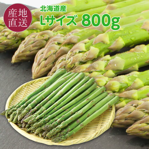 グリーンアスパラ (北海道産) Lサイズ 800g (アスパラガス本数の目安 25〜40本) 北海道 アスパラ ギフト グリーンアスパラガス 【送料無料】 グリーンアスパラ (北海道産) Lサイズ 800g (アスパラガス本数の目安 25〜40本) 北海道 アスパラ ギフト グリーンアスパラガス 【送料無料】
