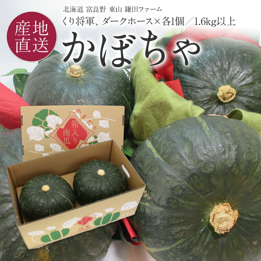 【クーポンで10%OFF★30日23:59まで】 富良野産 箱入り プレミアム 南瓜 2玉 2種(くり将軍,ダークホース) 北海道 秋野菜 カボチャ ギフト 南瓜 【送料無料】※予約販売（10月上旬頃からご注文順に発送予定）※熨斗、包装、着日指定不可