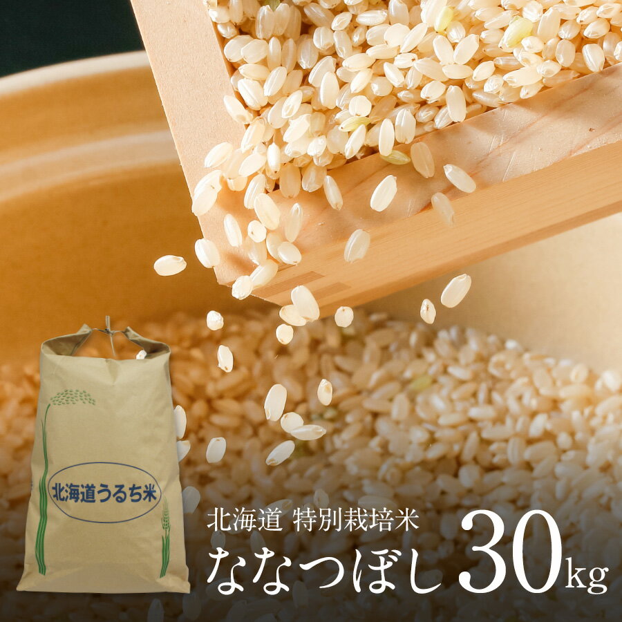 特別栽培米 ななつぼし 玄米 30kg 1袋 令和5年 北海道産 特A ななつぼし 玄米 減農薬 特別栽培 玄米 30キロ 北海道 きなうすファーム 農家直送 お米 令和5年産 新米 北海道産米 2023年産 送料無料 ※玄米で発送