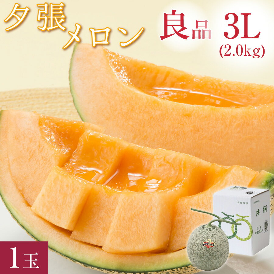 【ポイント5倍★7月20,21日】 夕張メロン 良品 特大 3Lサイズ(約2kg) 1玉 共撰 夕張農協 合格品 共撰 良品 特大玉 夕張メロン お中元 早割 メロン 超大玉 北海道 夕張 ゆうばり 夏 ギフト 中元 御中元 贈り物 お取り寄せ 【送料無料】 出荷中のサムネイル