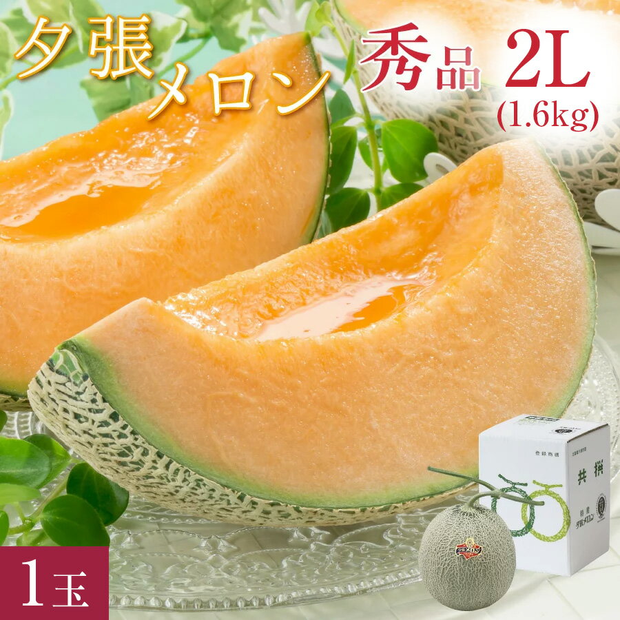 【300円OFFクーポン配布中!】夕張メロン 秀品 大玉 2Lサイズ(約1.6kg) 1玉 共撰 夕張農協 合格品 共撰 秀品 夕張メロン お中元 高級 メロン 北海道 夕張 ゆうばり JA夕張 夏 ギフト 中元 御中元 贈り物 【送料無料】 出荷中